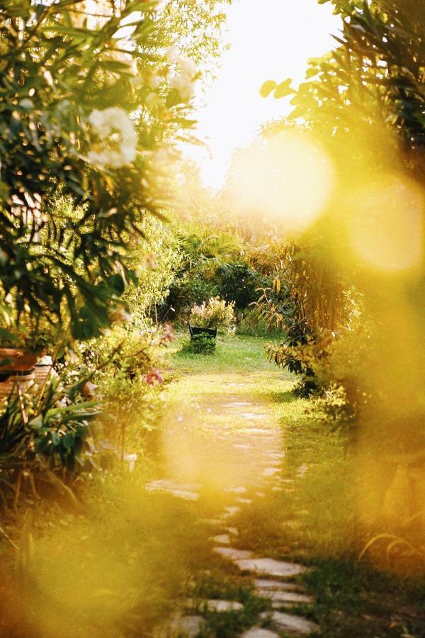 The Artist'S Farm Villa Dhiyeliotika Luaran gambar